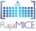 RajaMICE